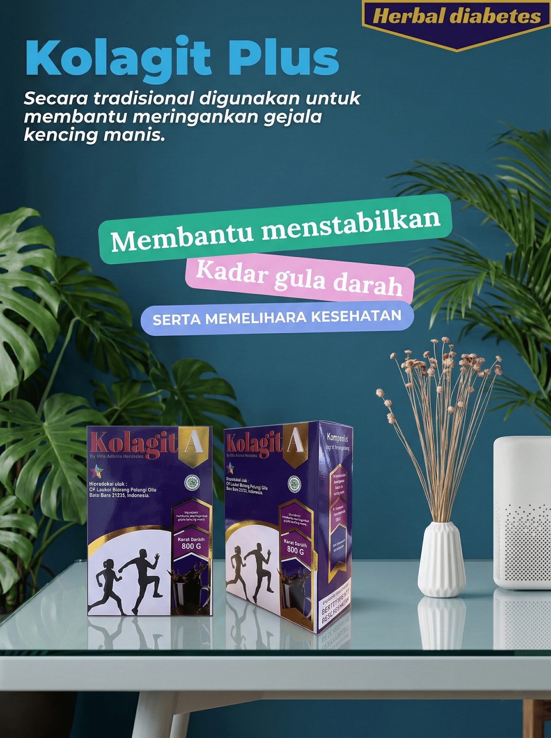 kolagit plus